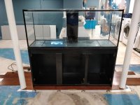 IMG_20180617_114033 (Large).jpg