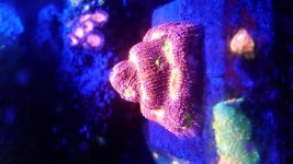 20170413_220738.jpg