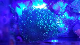20170430_192747.jpg