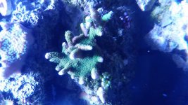 20170716_203643.jpg