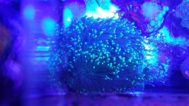 20170430_192742.jpg