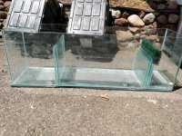 IMG_20180617_114126 (Large).jpg