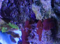 DDD9796D-EF20-43DF-9489-765A3DDDA189.jpg