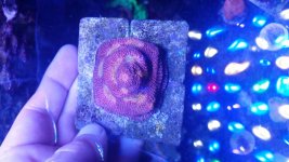 20170717_174535.jpg