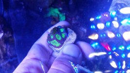 20170717_175016.jpg