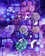 20170501_195941.jpg