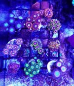 20170501_195914.jpg