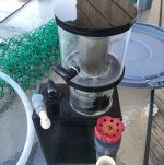 ImageUploadedByReefs2017-10-03 23:10:12 EDT.jpg