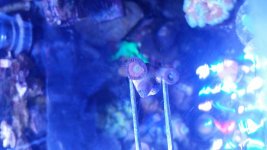 20170717_175234.jpg