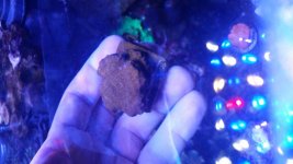 20170717_175345.jpg