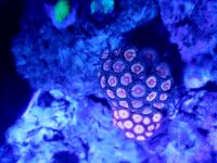 20170430_222755.jpg