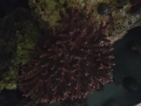 20170502_041652.jpg