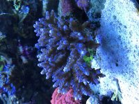 IMG_0008.jpg