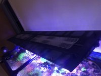 2E54A49E-8BD0-4AD4-9684-BD8359973758.jpg
