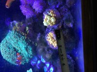 953B11D4-E1E7-4E9A-ADD5-BB8A317D6444.jpg