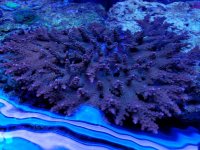 20170502_133659.jpg