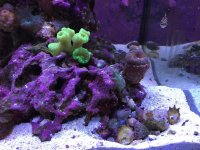 IMG_6580.jpg