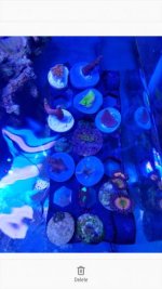 Screenshot_20170502-165650.jpg