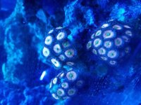 20170502_203248.jpg