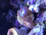 IMG_0816.jpg