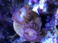 IMG_0817.jpg