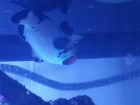 20180612_115424.jpg
