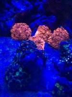IMG_5670.jpg