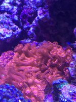 IMG_5720.jpg