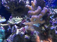IMG_0073.jpg IMG_0073.jpg