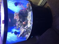 E51E48C9-5DEC-482E-8D96-0D43E29B39B0.jpg