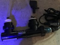 IMG_0404.jpg