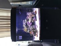 IMG_3512.jpg IMG_3512.jpg
