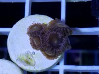 20170719_202858.jpg