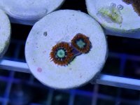 20170719_202855.jpg