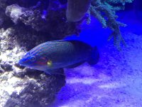 IMG_0799.jpg