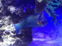 IMG_0802.jpg