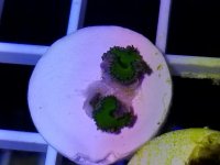 20170719_194614.jpg