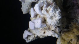 20180325_090436.jpg