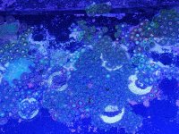 20180622_181405.jpg