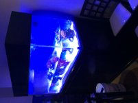 IMG_0519.jpg