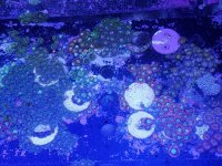 20180622_181356.jpg