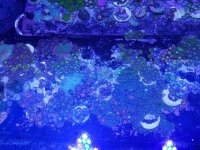20180622_181345.jpg