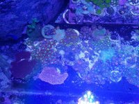 20180622_181340.jpg