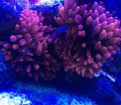 3A1BDFEC-2904-46E8-A0EF-D925C81EE6B7.jpg