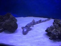 IMG_6818.jpg
