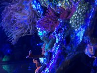 IMG_1078.jpg