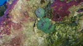 20180104_093937.jpg