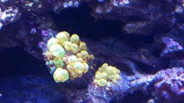 20170306_183720.jpg