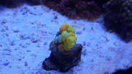 20170306_183352.jpg