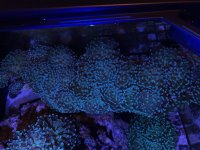 IMG_0644.jpg